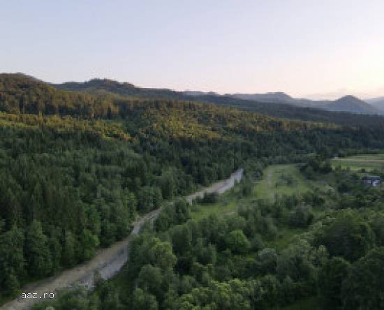 Oportunitate - Teren Gresu - Lepsa / Vrancea - 8.000 mp + 5000 mp