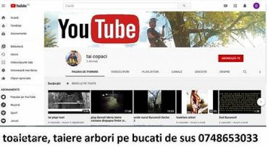 Toaletare / taiere arbori mari Tulcea cu si fara macara /nacela prb