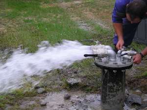 foraje puturi neamt 0745251083