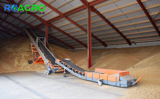 BENZI TRANSPORTOARE CEREALE,    LEGUME,    DIVERSE