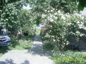 vinzare casa