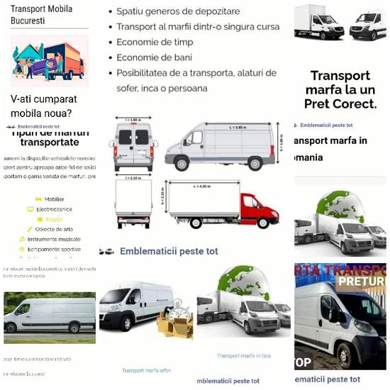Echipa Emblematicii-transport marfă.