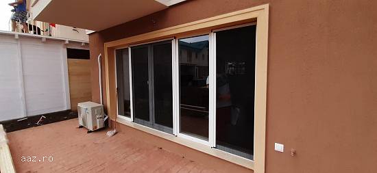 Plase tantari Victoria