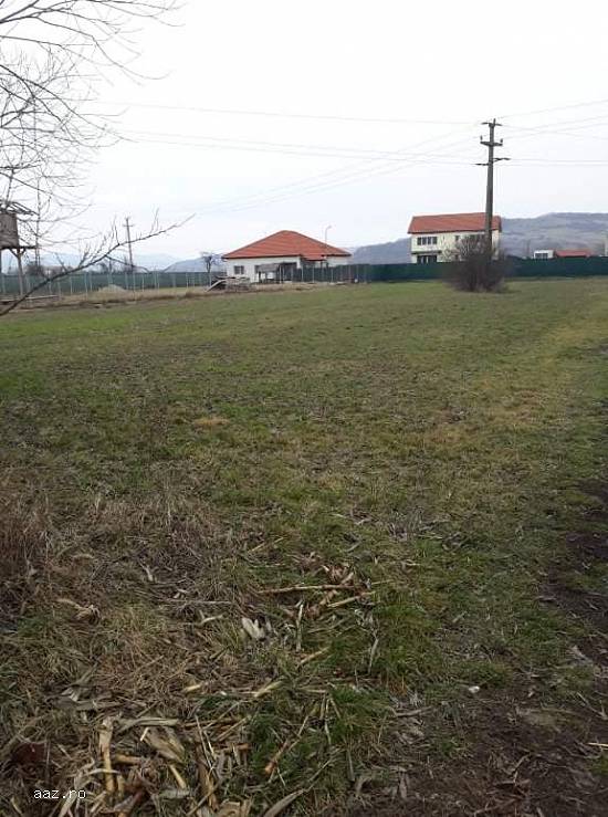 Teren intravilan