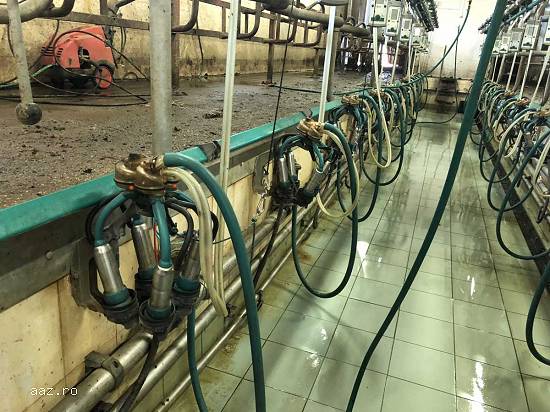 Statie de muls FGM Euro Glass,    loc. Pomi,    Satu Mare