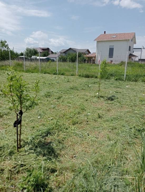 Teren Intravilan,   417mp,   Berceni,   Ilfov,   37500 euro