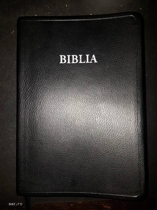 Biblia sau Sfânta Scriptură Traducere Literală