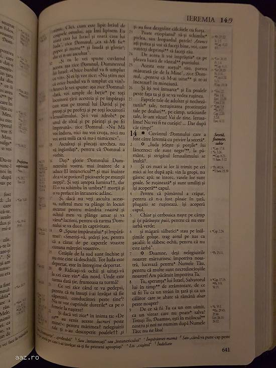 Biblia sau Sfânta Scriptură Traducere Literală