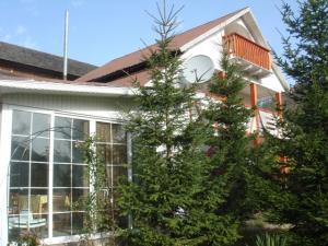 vand casa lepsa