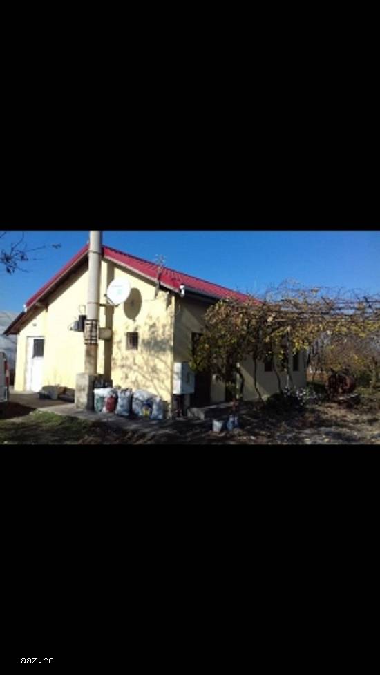 Ferma 600mp,   Teren 10000,   Mihail Kogalniceanu,   300000 euro