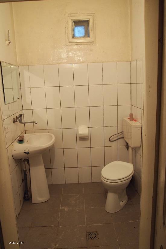 Imobil teren si cladire - Posaga