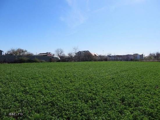 Teren Intravilan 3393mp,   Lacu Sarat,   Braila,   61000 euro