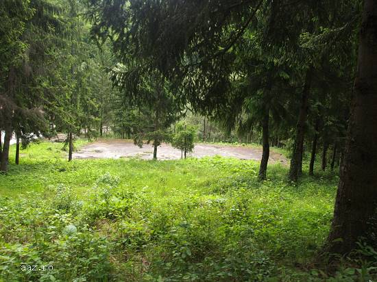 Proprietate imobiliara teren - Runcu