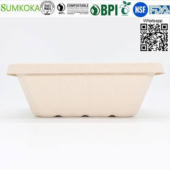 Vânzări cu ridicata China 500ML 700ML 850ML 1000ML Cutie Bento de bagas compostabil cu capac