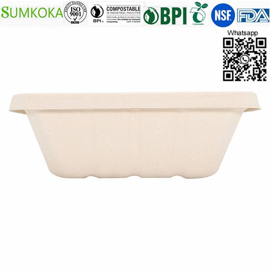 Vânzări cu ridicata China 500ML 700ML 850ML 1000ML Cutie Bento de bagas compostabil cu capac