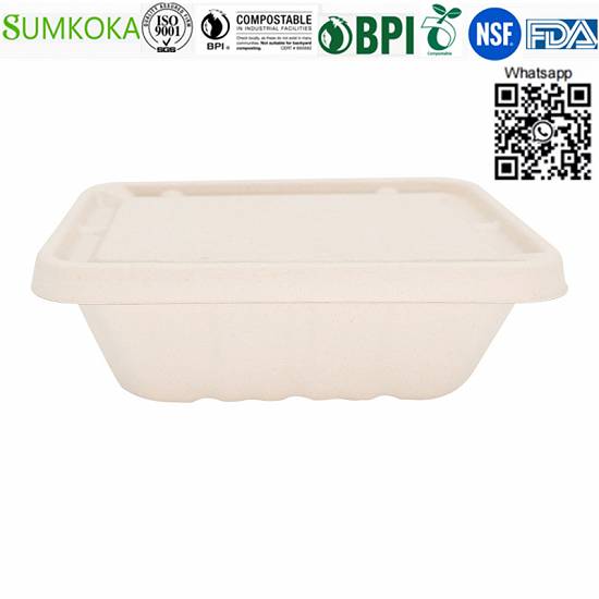 Vânzări cu ridicata China 500ML 700ML 850ML 1000ML Cutie Bento de bagas compostabil cu capac