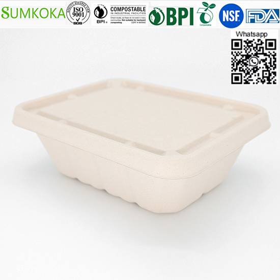 Vânzări cu ridicata China 500ML 700ML 850ML 1000ML Cutie Bento de bagas compostabil cu capac
