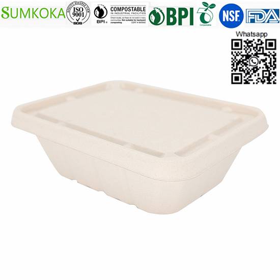 Vânzări cu ridicata China 500ML 700ML 850ML 1000ML Cutie Bento de bagas compostabil cu capac