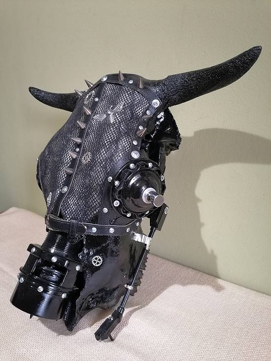 Craniu Steampunk,  Punk-rock