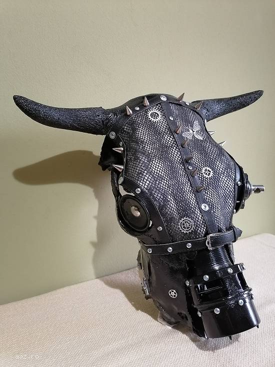 Craniu Steampunk,  Punk-rock