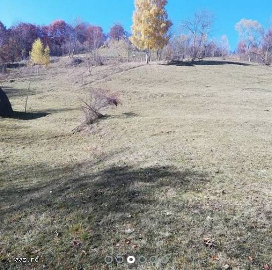 Teren Intravilan,   10000 mp,   Cluj,   100000 euro