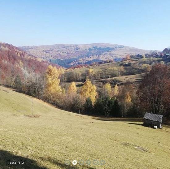 Teren Intravilan,   10000 mp,   Cluj,   100000 euro
