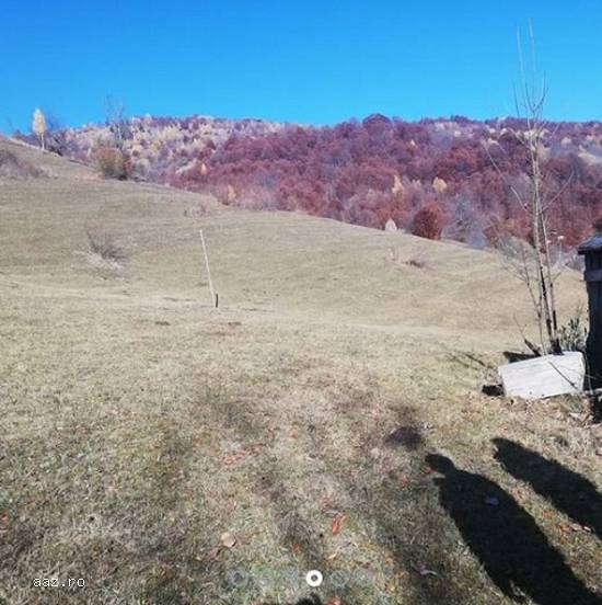 Teren Intravilan,   10000 mp,   Cluj,   100000 euro