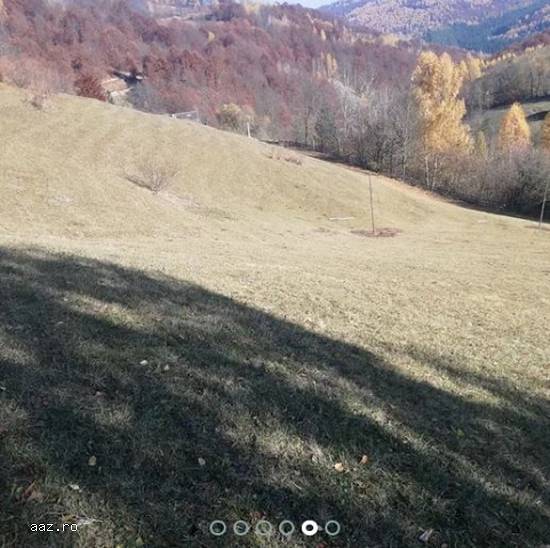 Teren Intravilan,   10000 mp,   Cluj,   100000 euro