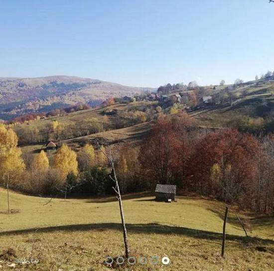 Teren Intravilan,   10000 mp,   Cluj,   100000 euro