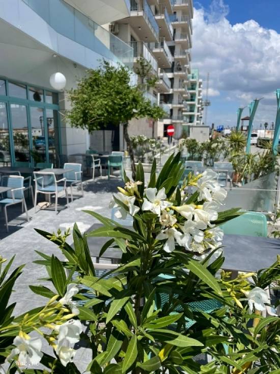 Restaurant,   310mp,   Mamaia Nord,   Constanta,   800000 euro