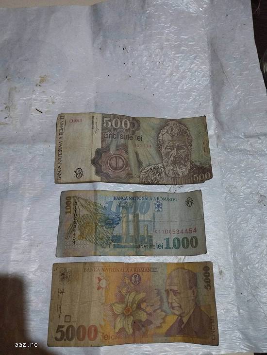 bacnote si monezi romanesti si straine  de colectie