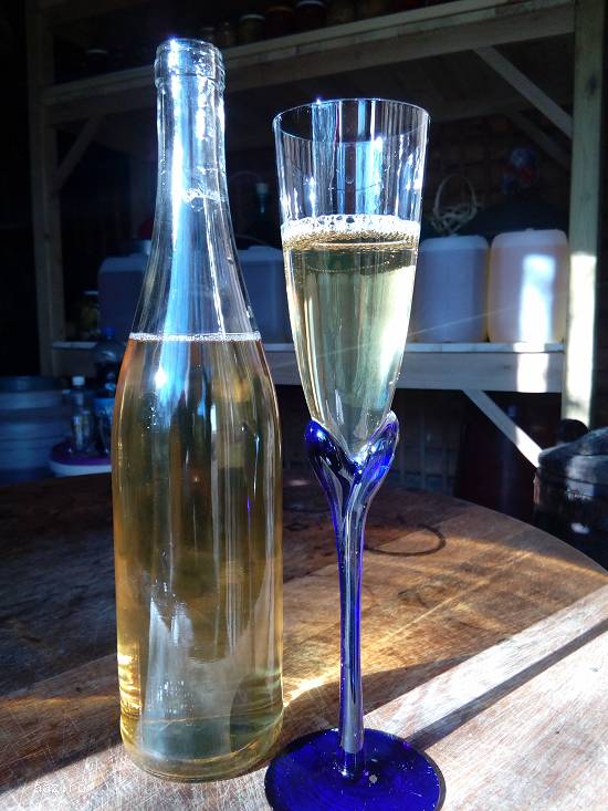 Vand vin