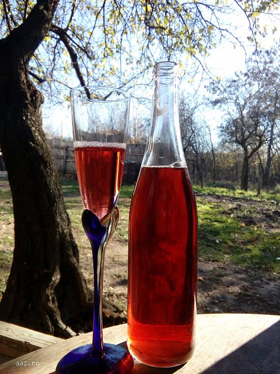 Vand vin