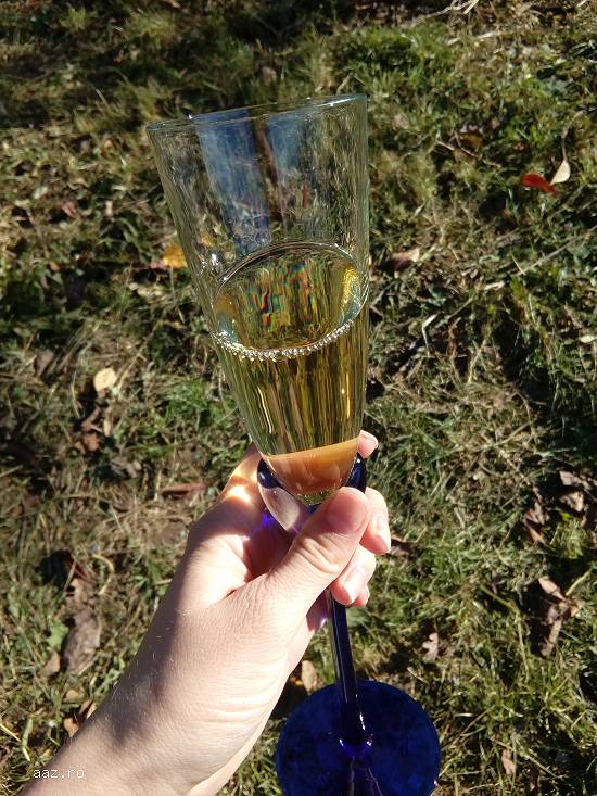 Vand vin