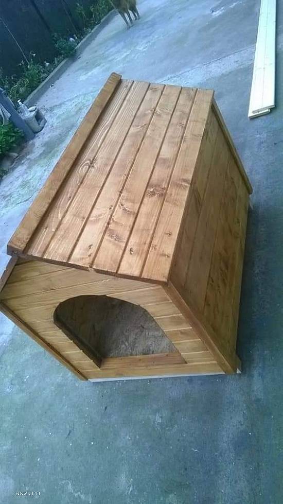 Căsuțe de pasarele și porumbei