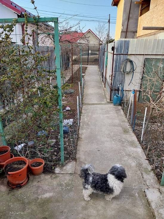Vând casă urgent