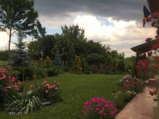 Teren extravilan,   15000mp,   Clinceni,   Ilfov,   530000 euro