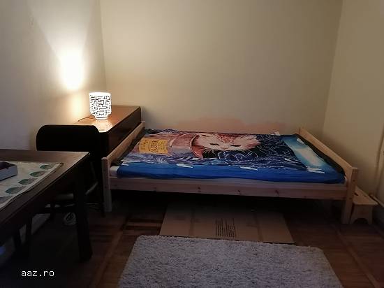 Am de inchiriat apartament mobilat cu 2 camere in Timisoara,     zona Take Ionescu