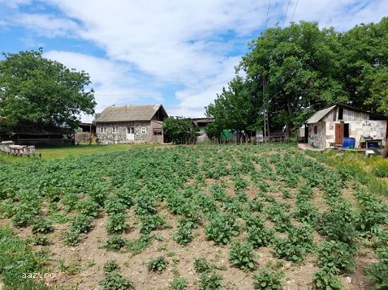 Ferma,   60000mp,   Adjud,   Vrancea,   90000 euro