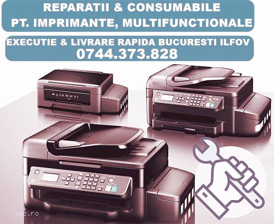 Service reparatii imprimante CISS la sediul societatii dvs. in Stefanestii de Jos  !.