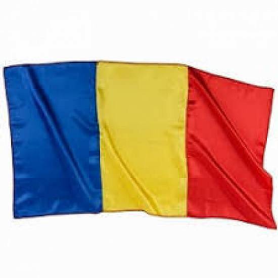 Steag Romania  150 x 100 cm