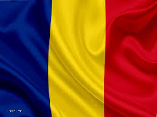 Steag Romania 100 x 70 cm - Minimat