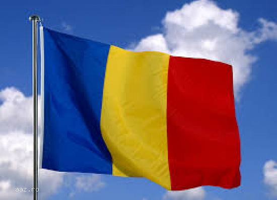 Steag Romania  150 x 100 cm poliester