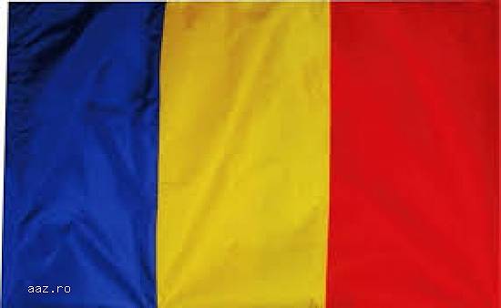 Steag Romania 135 x 90 cm