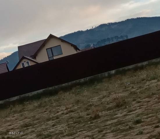 Vand Teren Intravilan 550mp in Cărpiniș - Pentru constructie case-vile