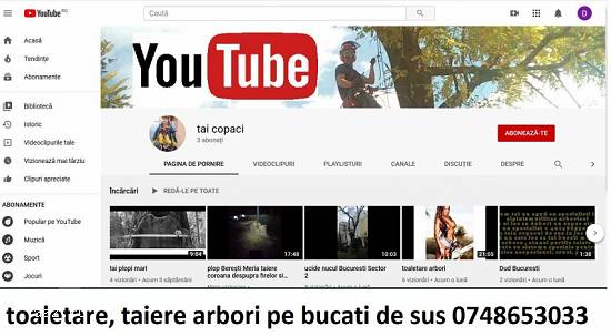 Toaletare / taiere arbori mari Ilfov Bucuresti cu si fara macara /nacela prb