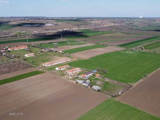 Teren 60.700 mp Daia Judetul Giurgiu DN5,   km 48,   curent si put