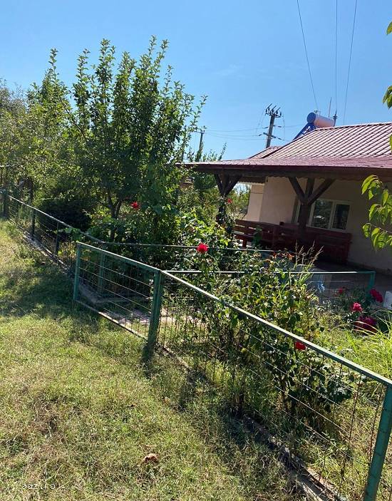 Teren 60.700 mp Daia Judetul Giurgiu DN5,   km 48,   curent si put