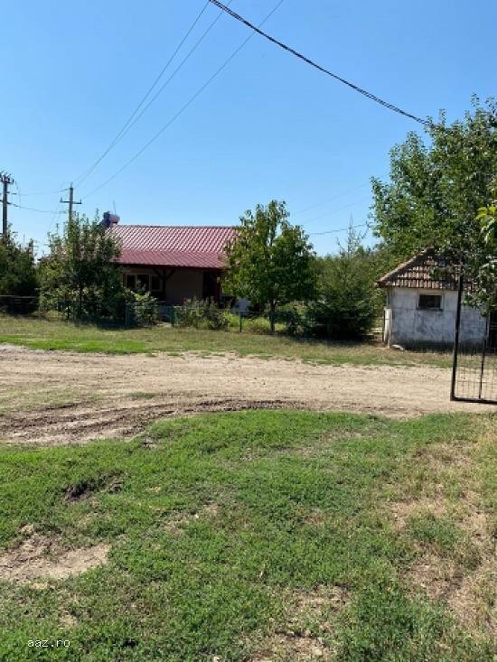 Teren 60.700 mp Daia Judetul Giurgiu DN5,   km 48,   curent si put