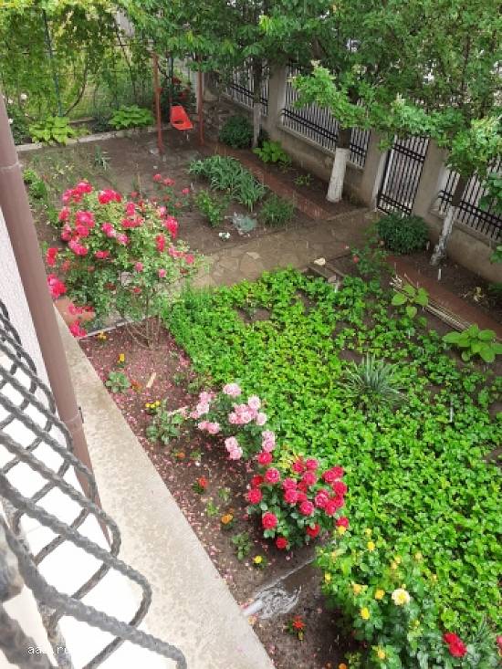 Vand vila P+2+M Chiajna Tineretului,   constructie 450mp,   295.000 euro